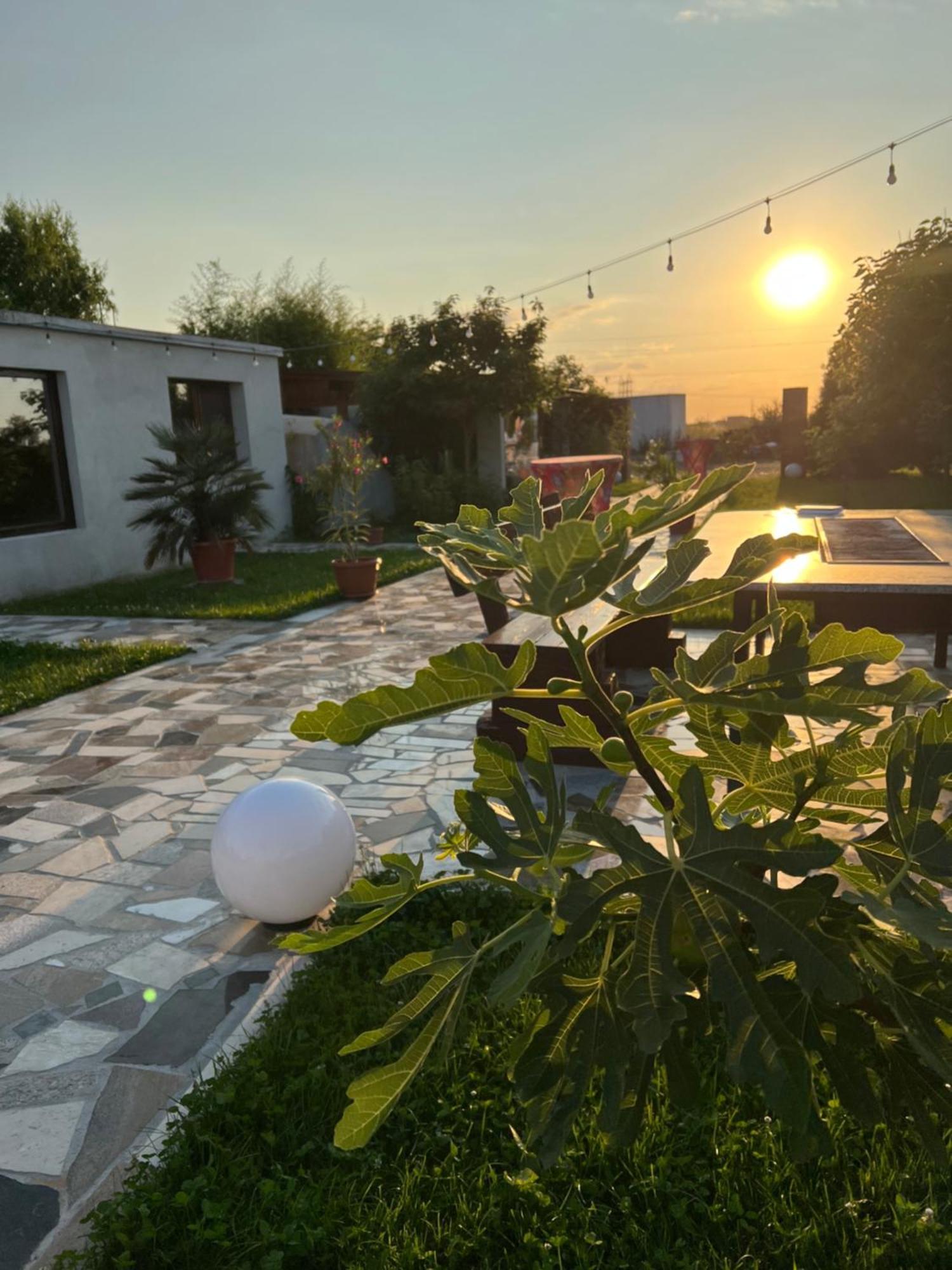 Apartmán La Casa Blanca Vladimirescu Exteriér fotografie